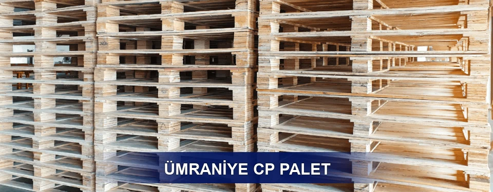 Ümraniye Standart Tipler